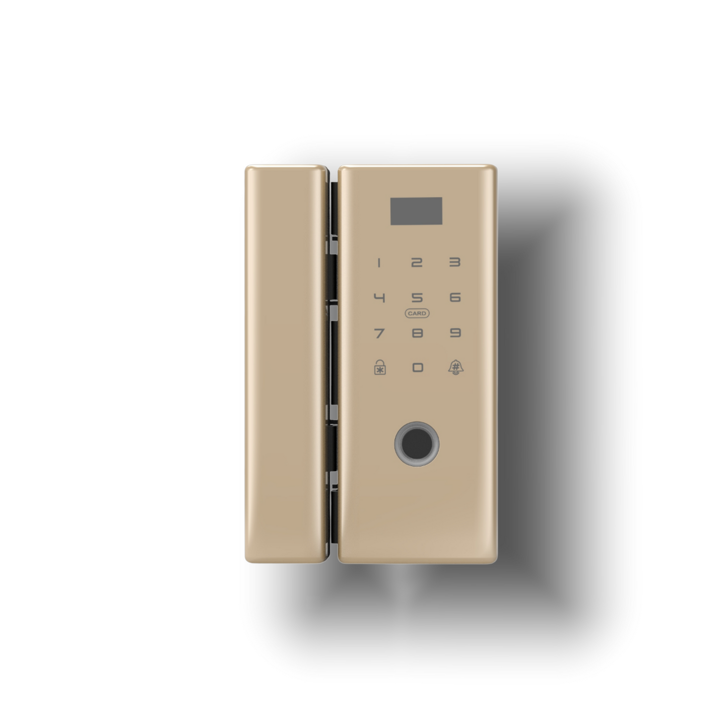 Glass Door Lock