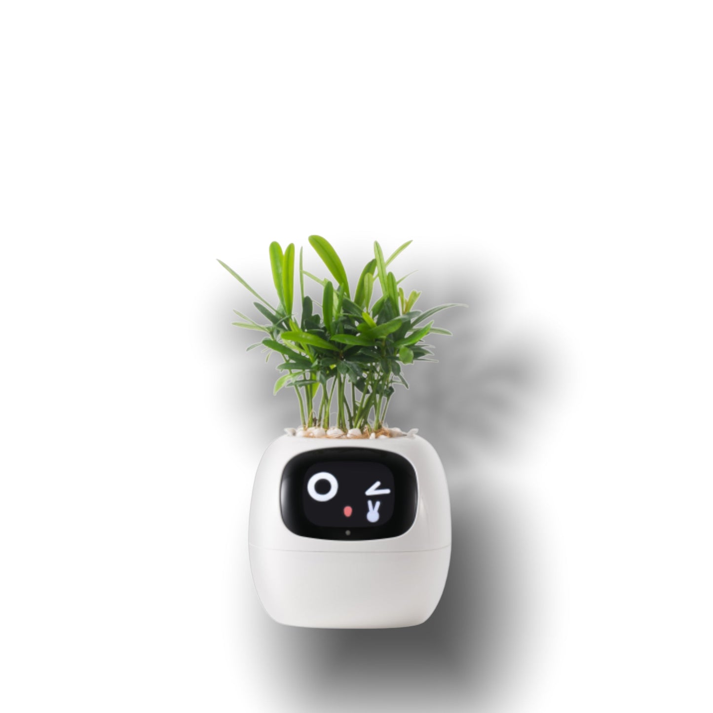 Ivy Smart Pet Planter