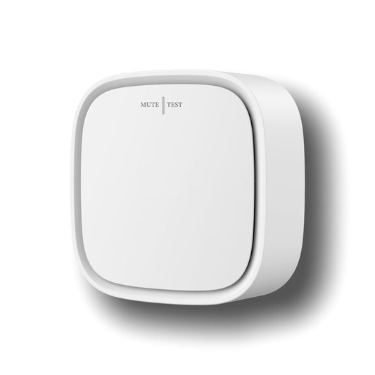 Gas Sensor