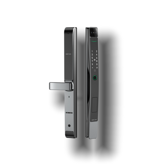 Smart 3D Face Recognition Lock