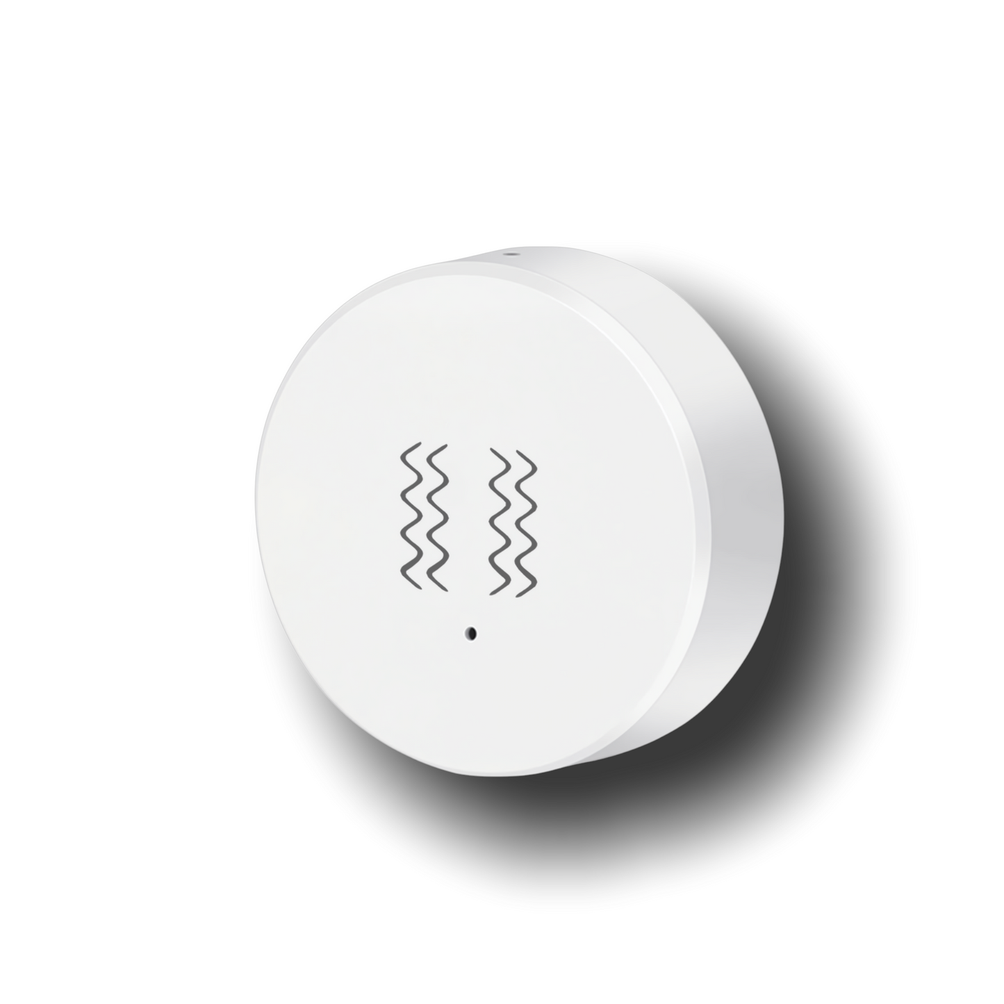 Vibration Sensor