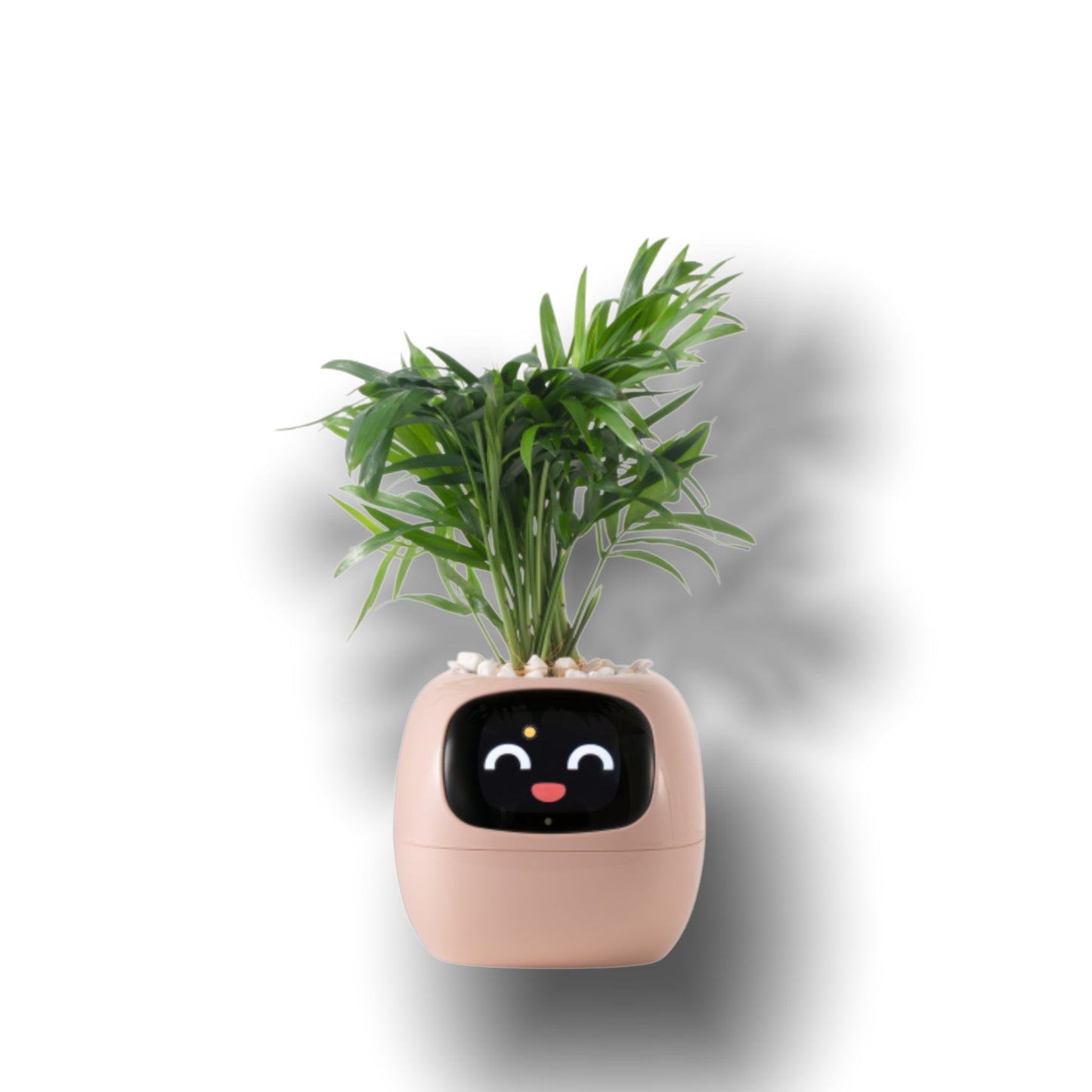 Ivy Smart Pet Planter