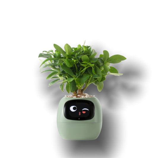 Ivy Smart Pet Planter